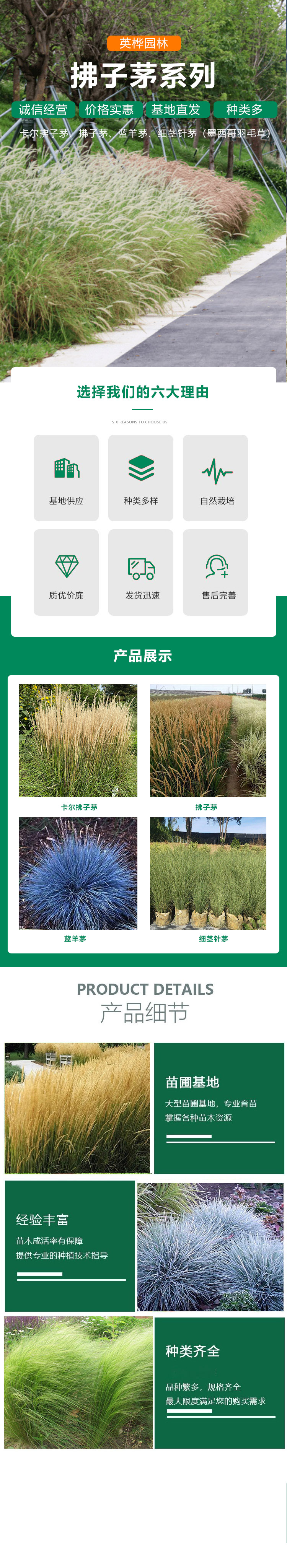 mbFun.php.jpg 4ec2d5628535e5dde7116e530796b0efce1b9c16c4a4.jpg