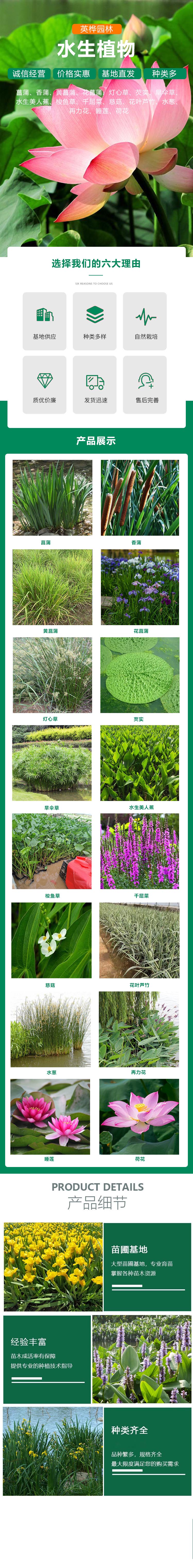 mbFun.php.jpg 4ec2d5628535e5dde7116e530796b0efce1b9c16c4a4.jpg